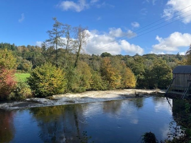Click the photo for more details of Fishing on the Exe
