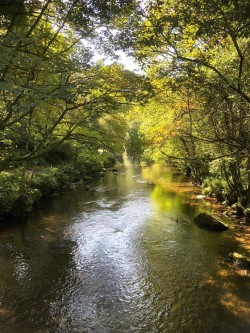 Images for Fishing on the Exe