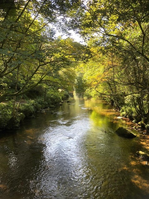 Click the photo for more details of Fishing on the Exe