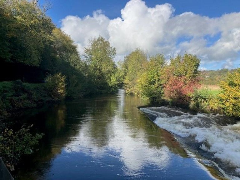 Images for Fishing on the Exe