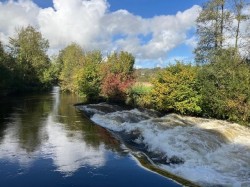 Images for Fishing on the Exe