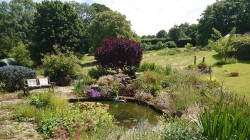 Images for Chard Street, Thorncombe, Chard