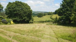 Images for Chard Street, Thorncombe, Chard