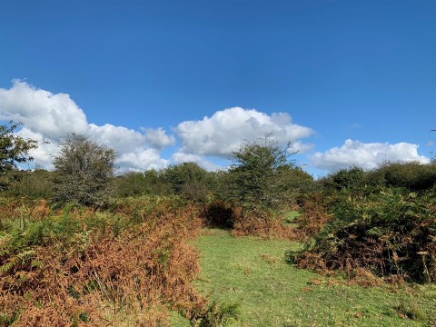 Click the photo for more details of Bridestowe
