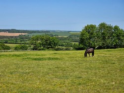 Images for Petrockstow, Okehampton