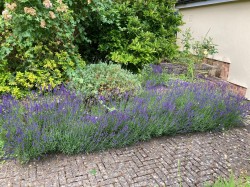 Images for Church End, Ashdon, Saffron Walden