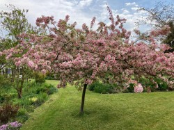 Images for Church End, Ashdon, Saffron Walden