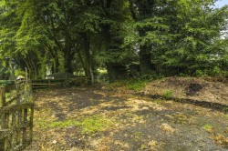 Images for Bridestowe