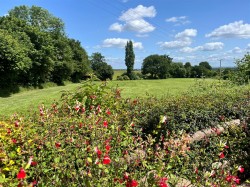Images for Forts Orchard, Chilthorne Domer
