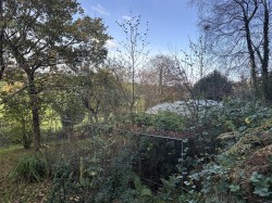 Images for Shute, Axminster