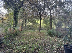 Images for Shute, Axminster