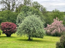 Images for High Bickington, Umberleigh