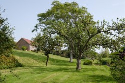 Images for Winters Lane, Nr Portesham, Weymouth