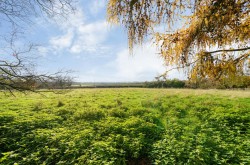 Images for Main Street, Easenhall, Rugby, CV23