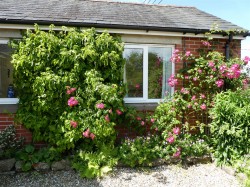 Images for 3A Crock Lane, Bridport