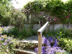 Images for 3A Crock Lane, Bridport