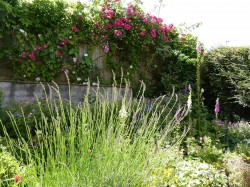 Images for 3A Crock Lane, Bridport