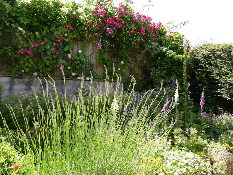 Images for 3A Crock Lane, Bridport