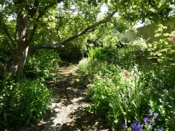 Images for 3A Crock Lane, Bridport