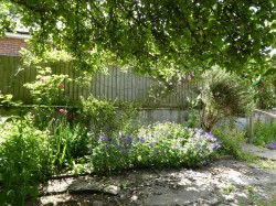 Images for 3A Crock Lane, Bridport