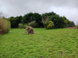 Images for St. Clether, Launceston
