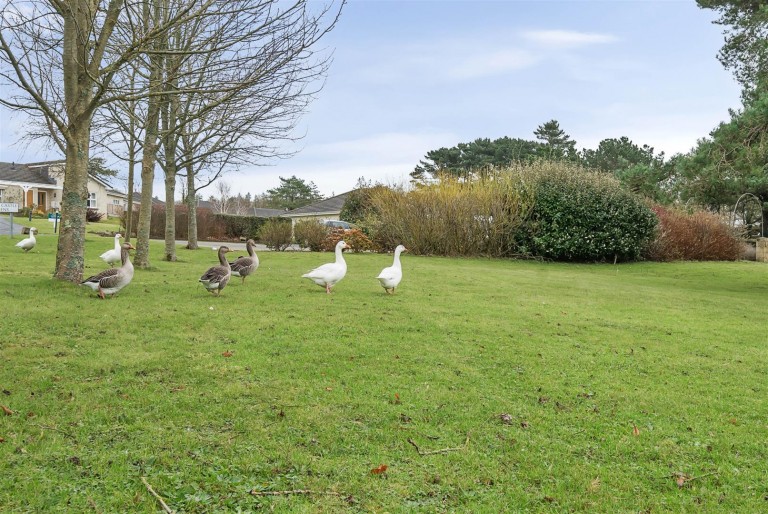 Images for Abbotsham, Bideford