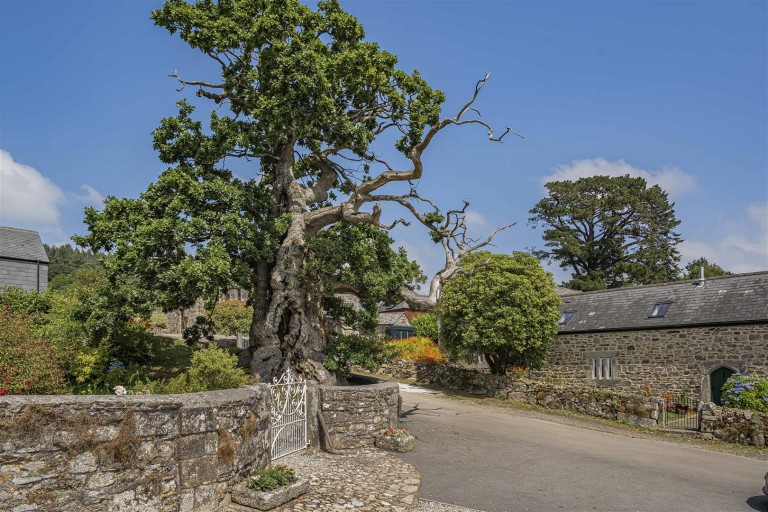 Images for Darley, Liskeard