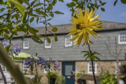 Images for Darley, Liskeard