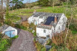 Images for Polzeath