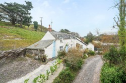 Images for Polzeath