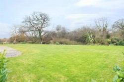 Images for Polzeath