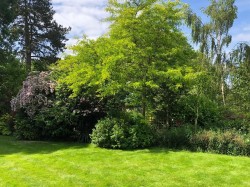 Images for Wimbridge Close, Wimpole