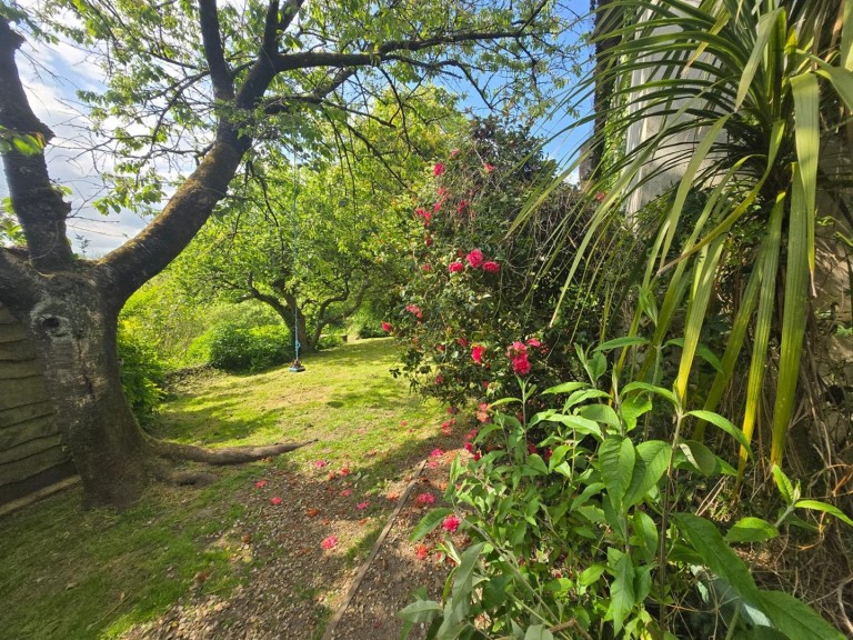 Images for Thorncombe