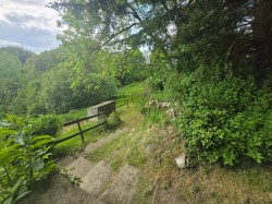 Images for Thorncombe