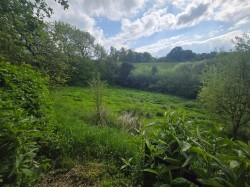 Images for Thorncombe