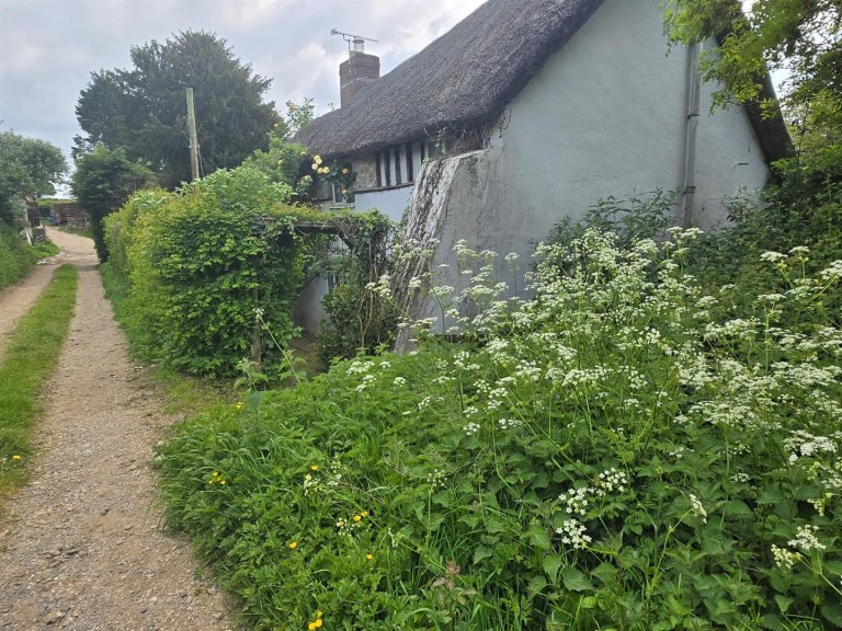 Images for Thorncombe