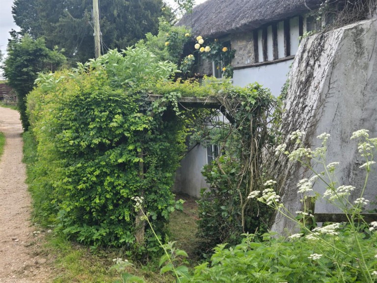 Images for Thorncombe