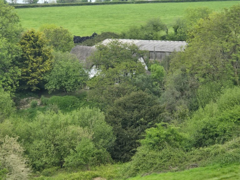 Images for Thorncombe