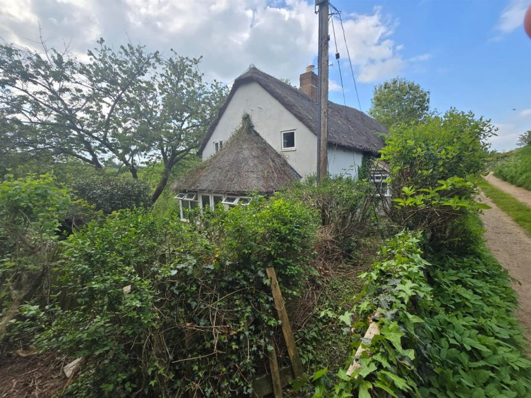 Images for Thorncombe