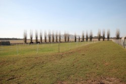 Images for Millfield Lane, Wilburton, Ely