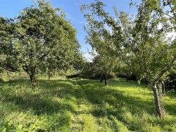 Images for Near South Molton