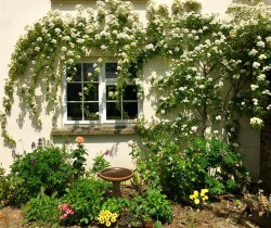 Images for Near South Molton
