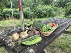Images for Near South Molton
