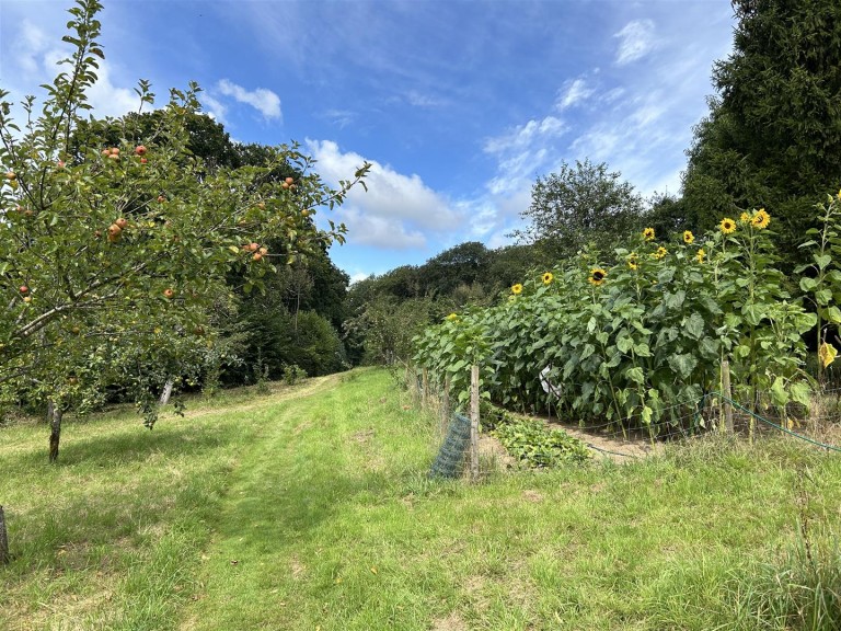 Images for Near South Molton