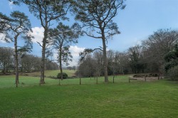 Images for Bridestowe