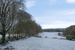 Images for Bridestowe