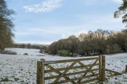 Images for Bridestowe