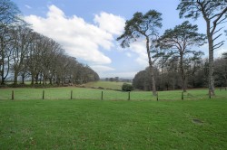 Images for Bridestowe