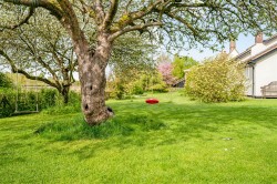 Images for Cross Green, Dullingham