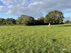 Images for Clyst St Mary, Exeter